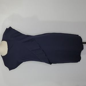 Banana Republic Ruffled Navy Dress SZ 4